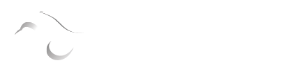 Church Web Vision Logo. 